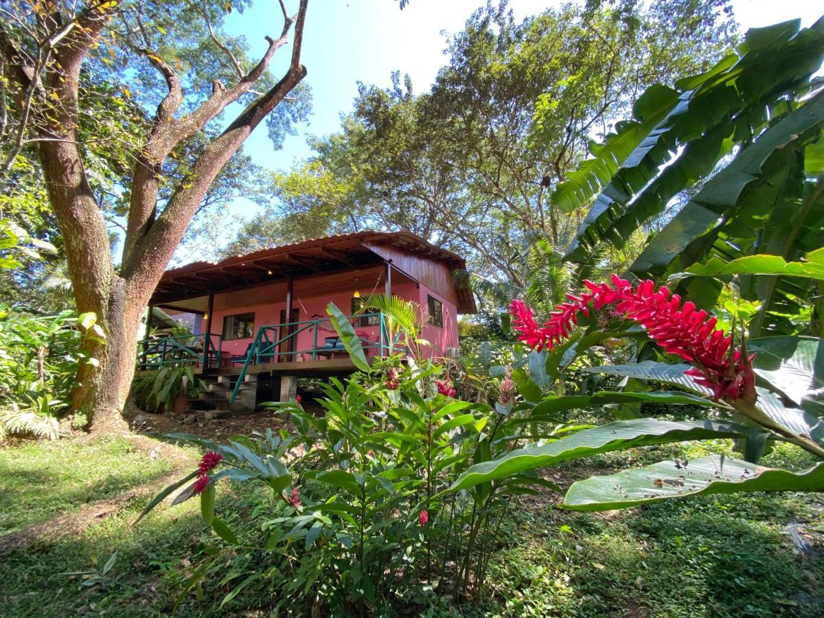 Casa Colores Montezuma Bagian luar foto