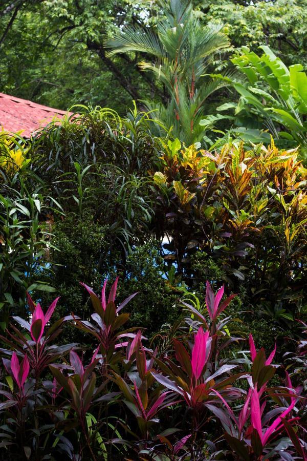 Casa Colores Montezuma Bagian luar foto